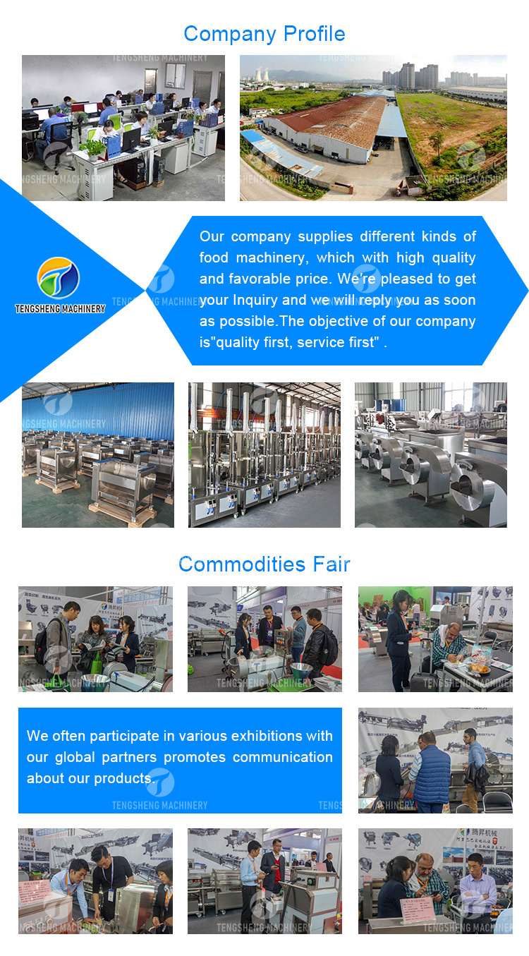 Fruit and Vegetable Bubble Washing Machine Vegetable Processing Equipment Food Processor (TS-X300)