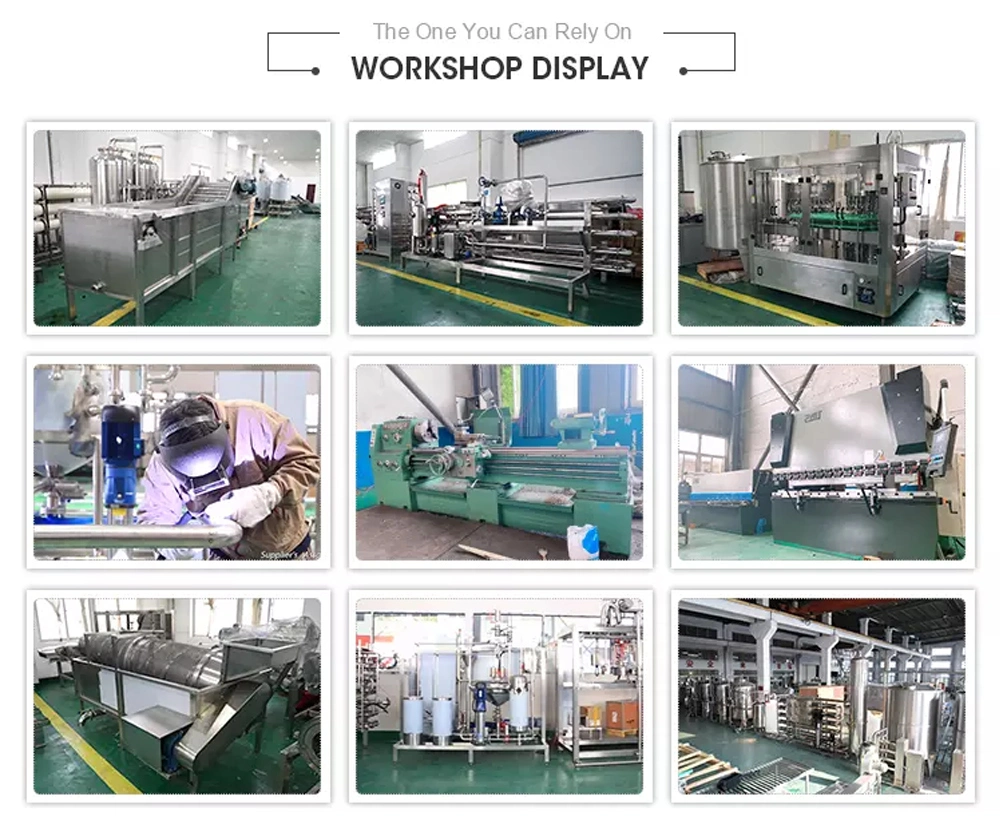 Fruit & Vegetable Washing / Waxing / Sorting /Processing Machine for Sale