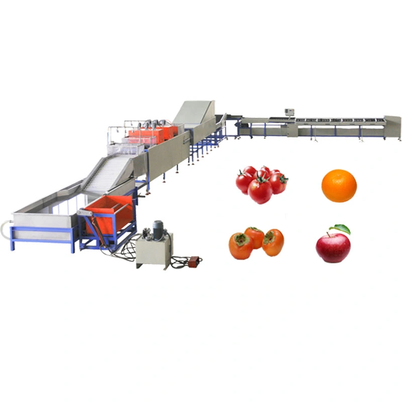 Orange Automatic Loading Electronic Fruit Sorter and Washing Waxing Machine