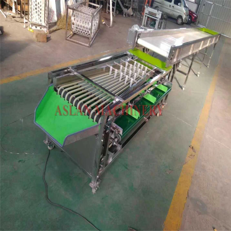 Kiwi Weight Grading Machine/Fruit Weight Sorting Production Line/Fruit Weight Sorting Machine
