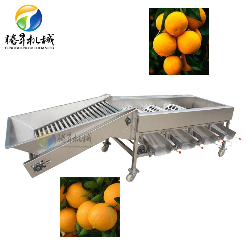Fruit Sorting Machine Industrial Citrus Fruit Sorting Machine (TS-FS340)