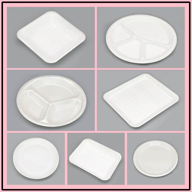 Salable PS Disposable Foam Food Container/Plate/Dish/Tray/Bowl/Box Making Machine