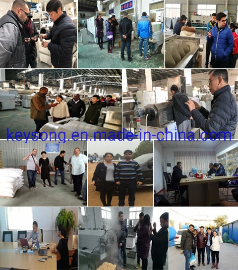 Food Processing Equipment Fruit and Vegetable Drying Machine