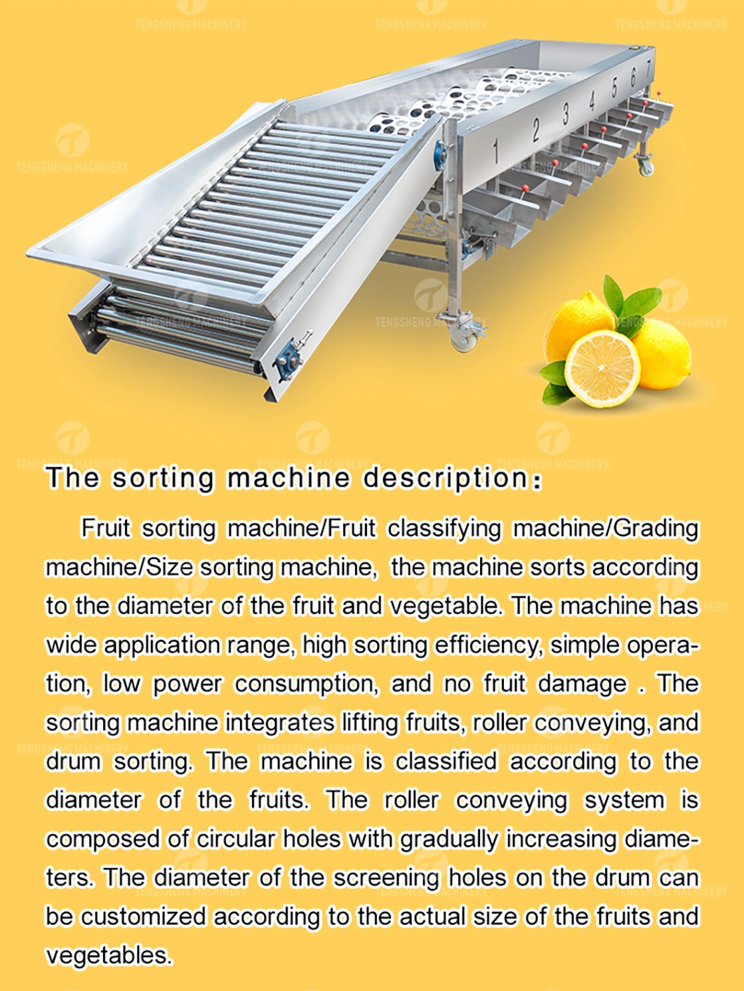 Passion Fruit Apple Pear Kiwi Fruit Sorting Machine Potato Grading Machine Food Processing Machine (TS-FS670)