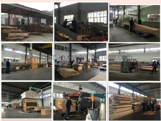 FL6-15 Fly Ash Brick Machine/ Fully Automatic Block Board Production Line Supplier Line