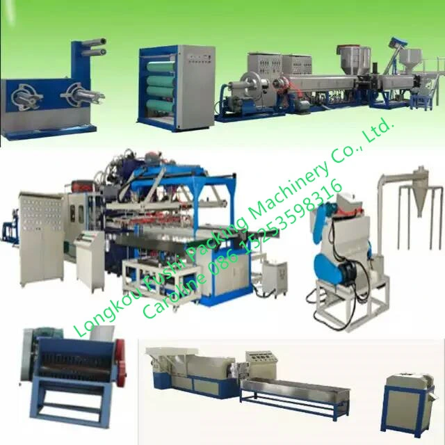 Longkou PS Foam Plate/Tray/Box/Food Box/Container Thermocol Plate Making Machine