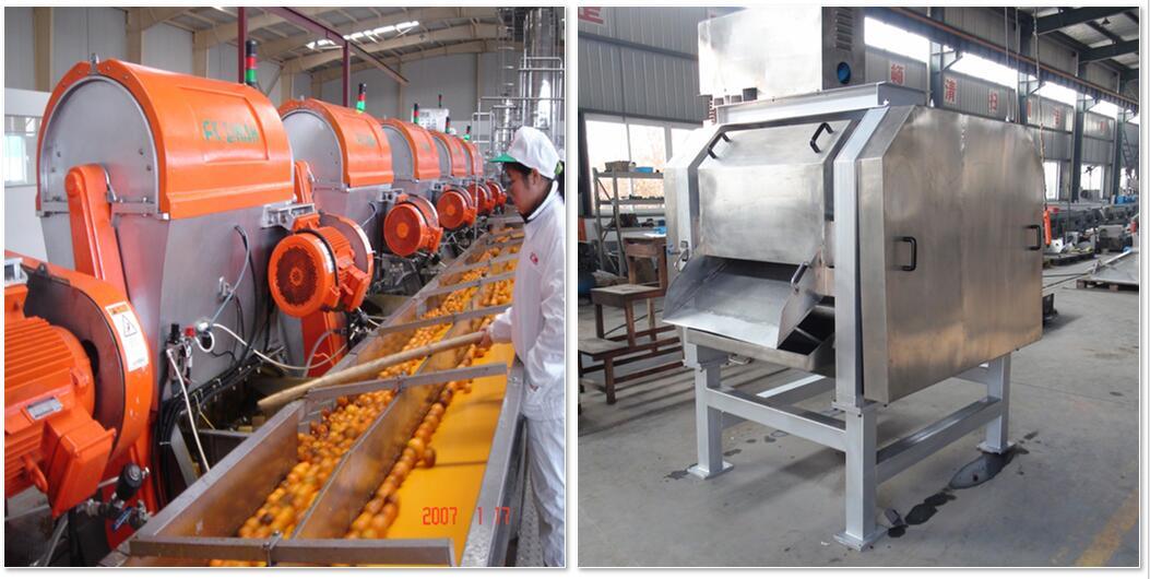 Commercial Fruit Juice Making Machine Small Juice Production Machine Juice Factory Equipments