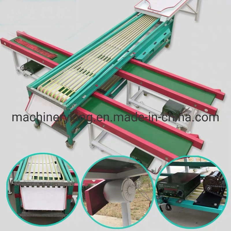 High Standard in Quality Tomato Fruit Grading Machine