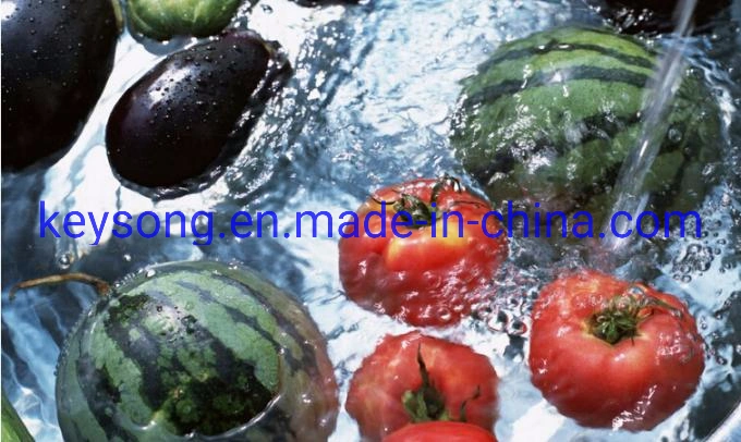 Fully Automatic Plant Price Fruit Vegetable Processing Washing Machine