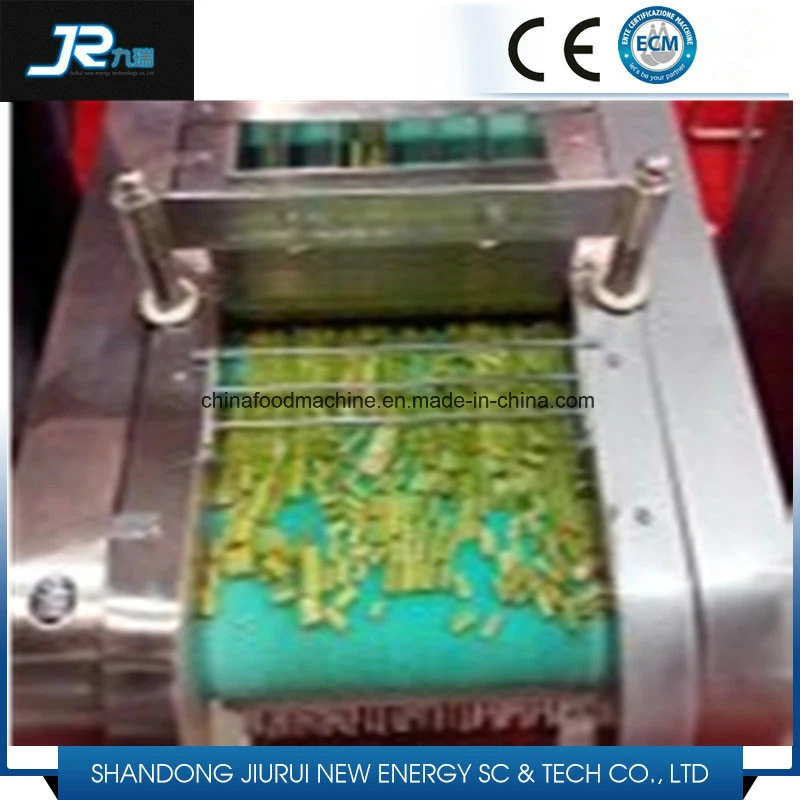 Industrial Multifunctional Food Processing Fruit/Vegetable /Food/Seafood Cut Machine