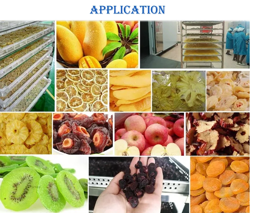 Agriculture Food Vegetable Fruit Drying Processing Making Freeze Dryer Machine