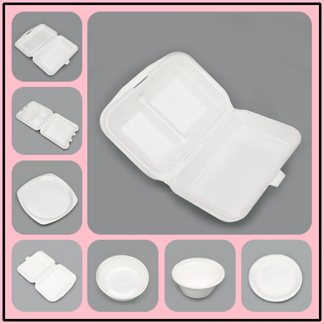 Salable PS Disposable Foam Food Container/Plate/Dish/Tray/Bowl/Box Making Machine