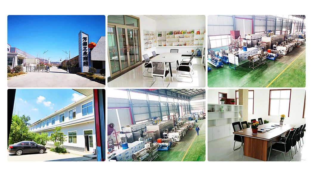 Automatic Frying Snack Food Production Line Snack Food Processing Machinery