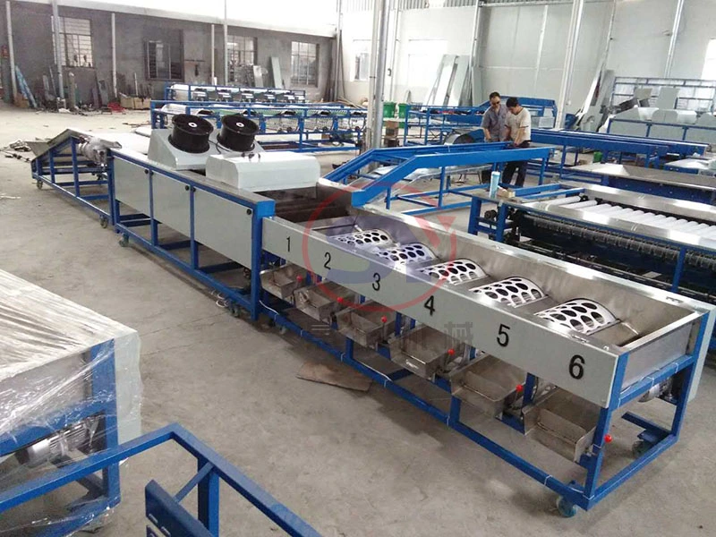 Good Quality Cirtus Orange Selecting Machine Fruit Vegetable Sorting Grading Machine