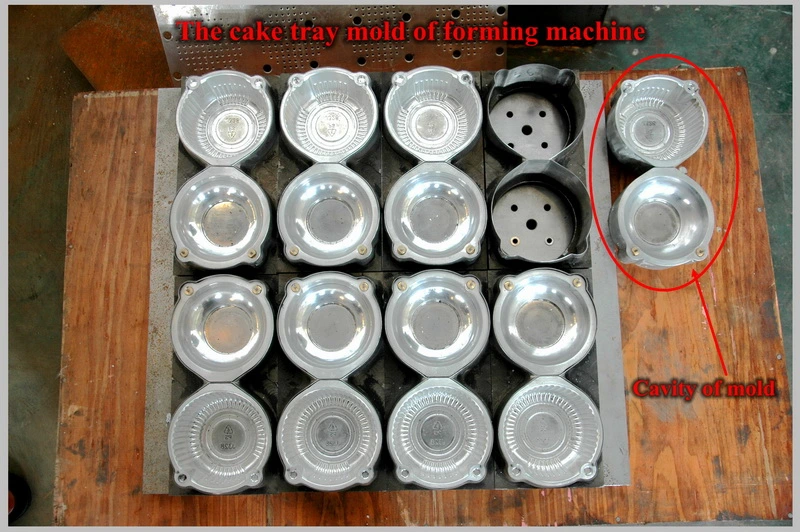 Hy-51/62 Automatic Plastic Cake Tray Forming Machine
