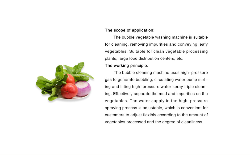 Fruit and Vegetable Bubble Washing Machine Vegetable Processing Equipment Food Processor (TS-X300)