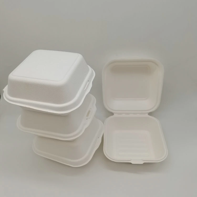 Fast Food Take-out Box Sugarcane Bagasse Disposable Biodegradable Fast Food Packing Hamburger Box Container