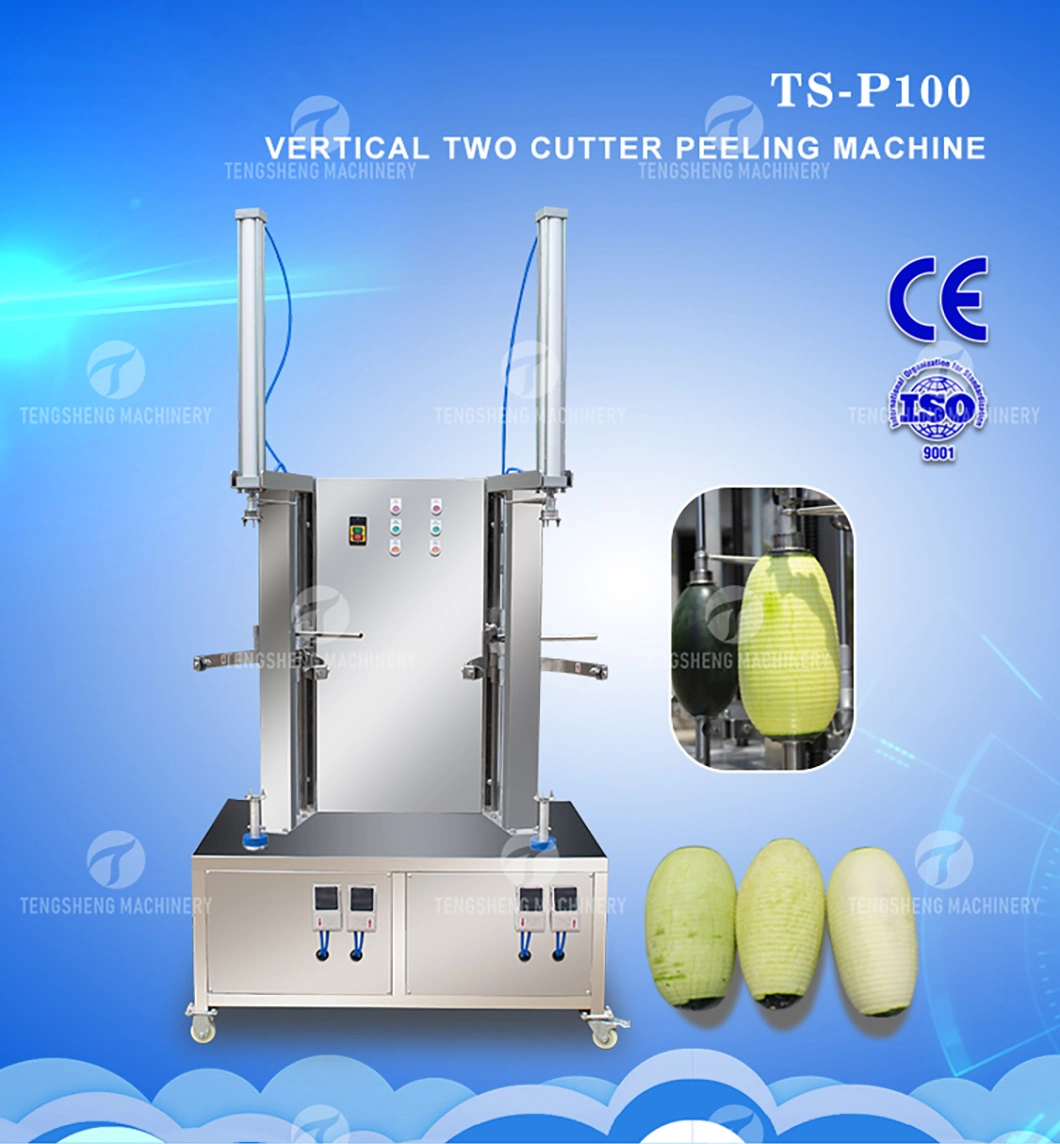 Ts-P100 Stainless Steel Pumpkin Electric Peeler Melon and Fruit Processing Machine