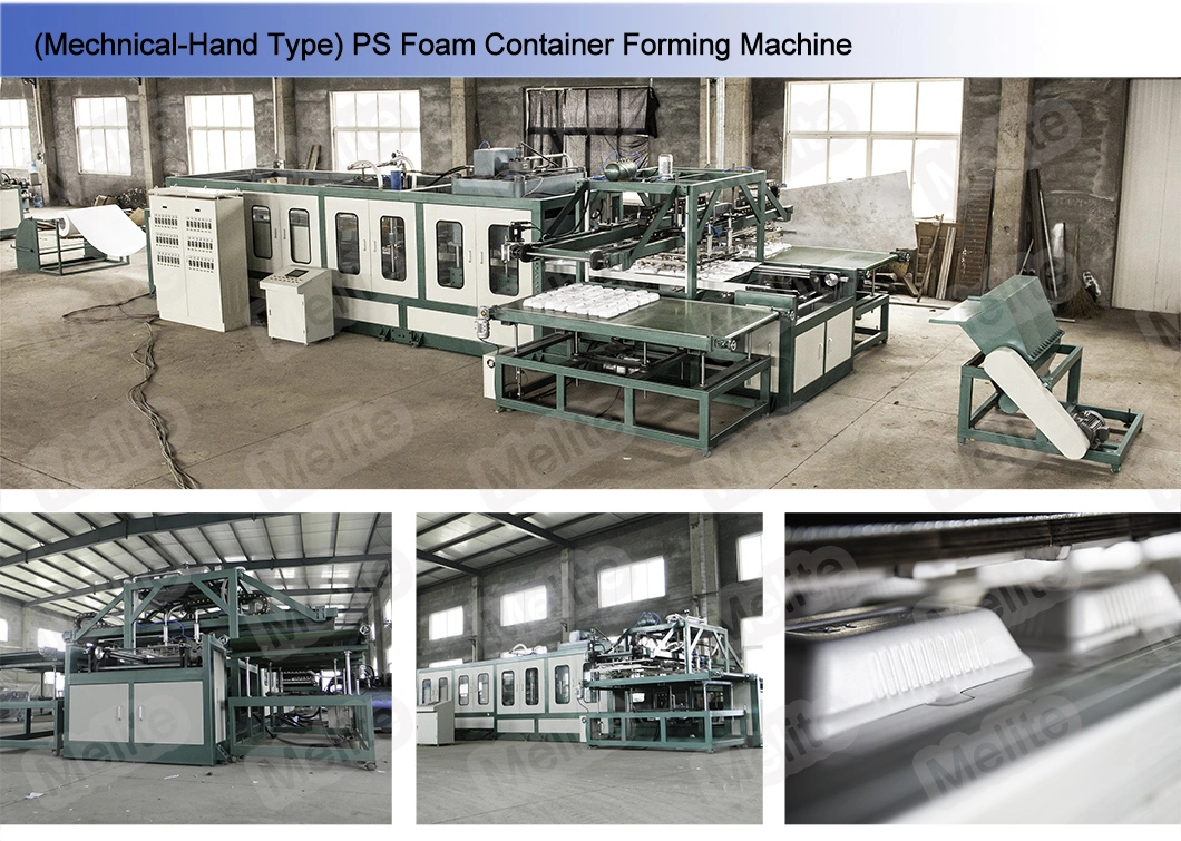 Fully Automatic Disposable PS Foam Food Container Making Machine Mt105/120