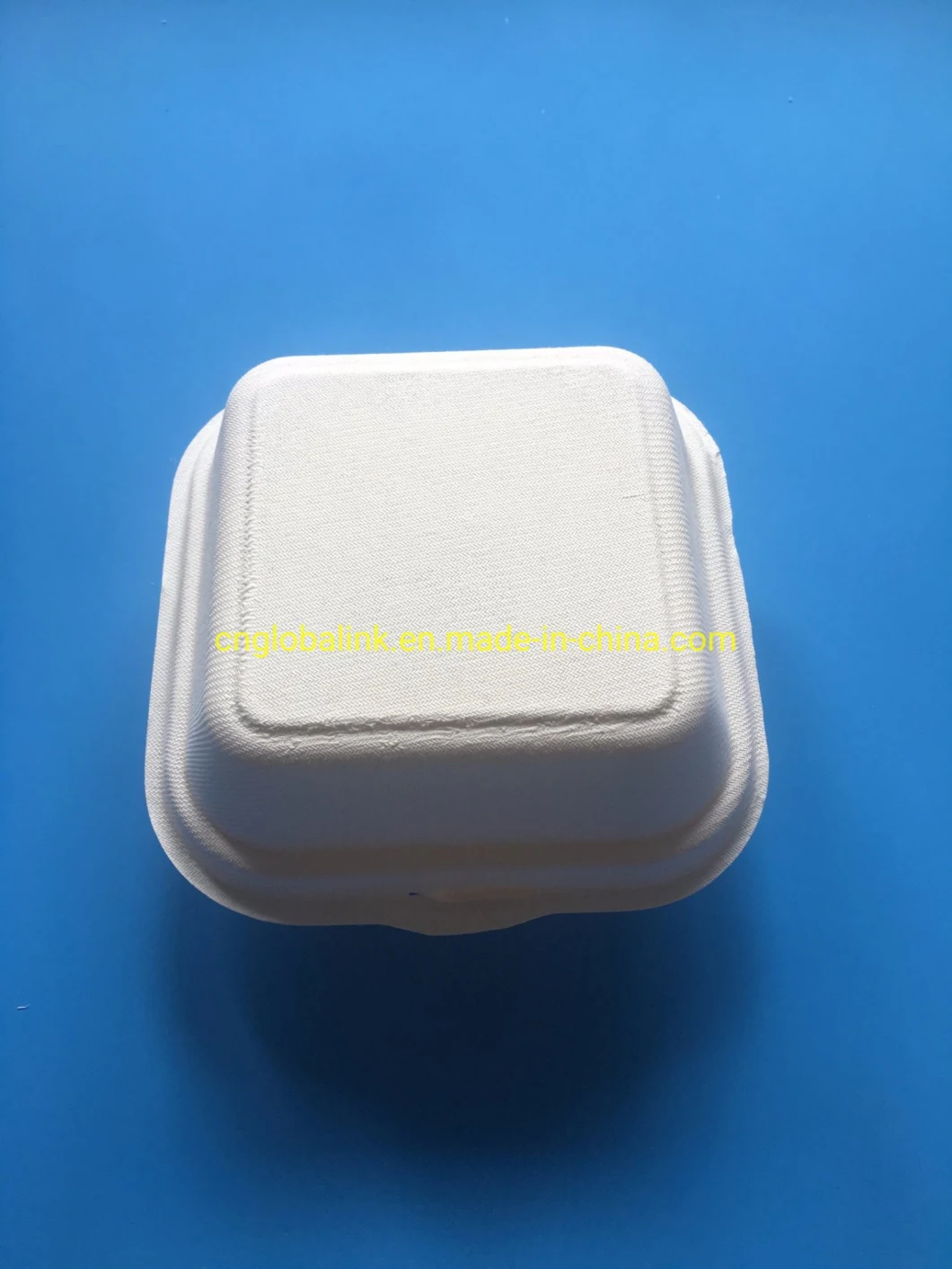 Sugarcane Bagasse Food Packaging Container Take Away Fast Food Container