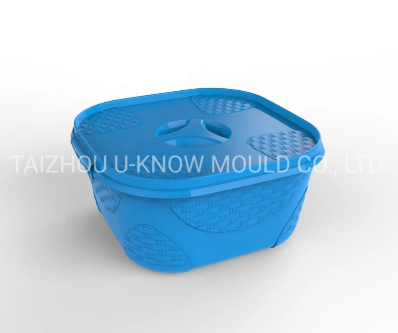 Disposable PP Plastic Snack Box Mould Food Container Injection Mold
