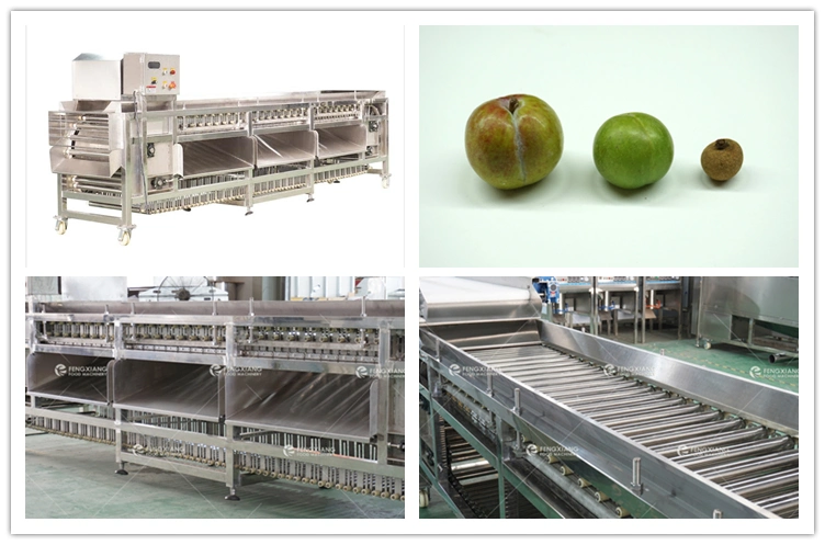 Industrial Tomato Cherries Carrot Vegetable and Fruit Grading Machine
