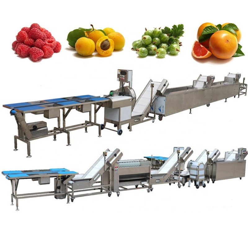 Fruit and Vegetable Washing Line Automatic Fruit Processing Machine