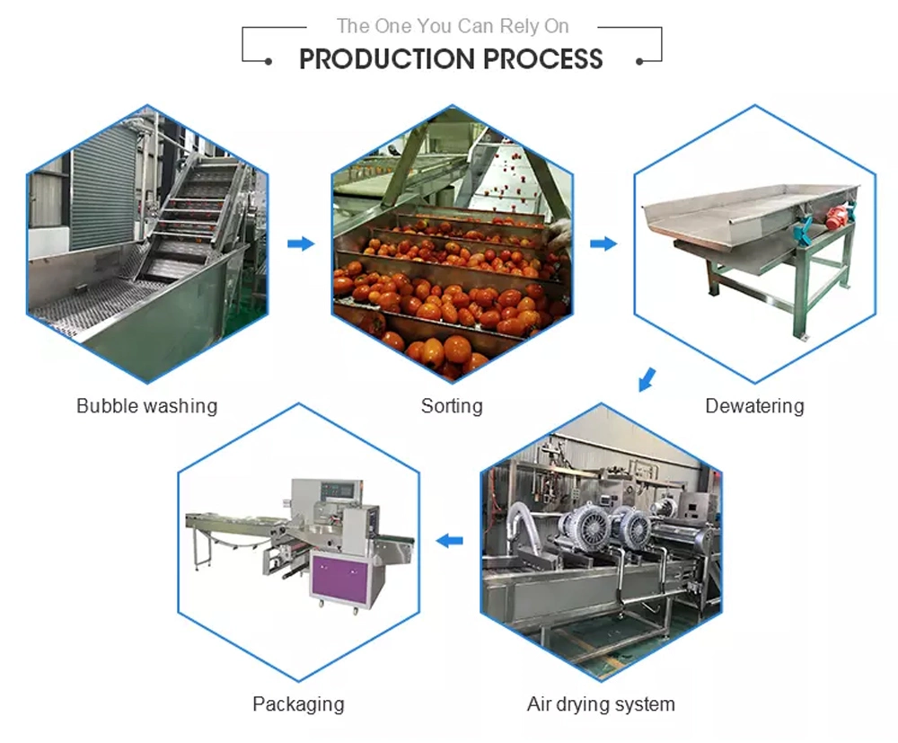 Fruit Processing Equipment Vegetable Sorting Grading Washing Machinery