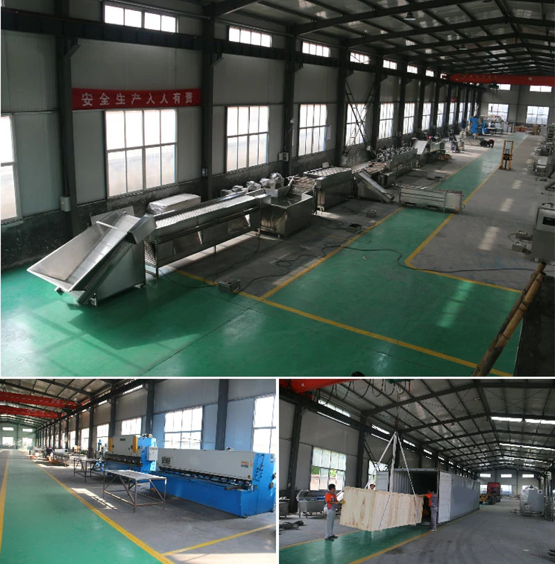 High Quality Fruit Processing Equipment Vegetable Sorting Grading Washing Machinery