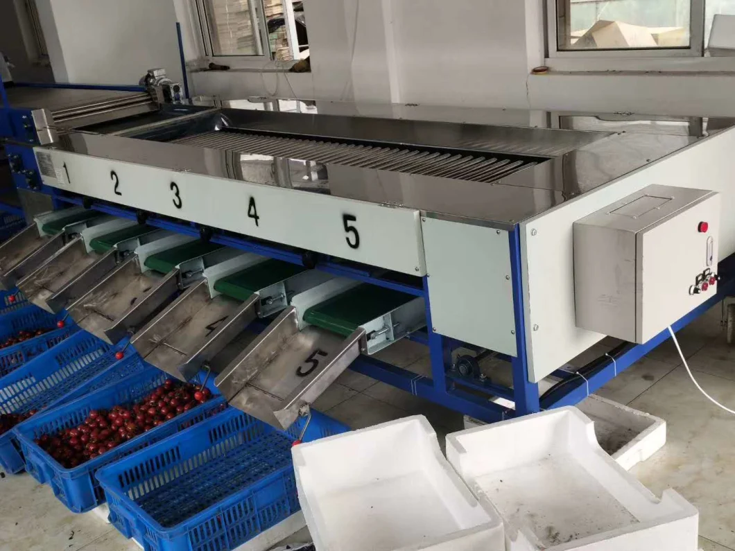 Farm Use Cherry Grading Packing Selecting Machine