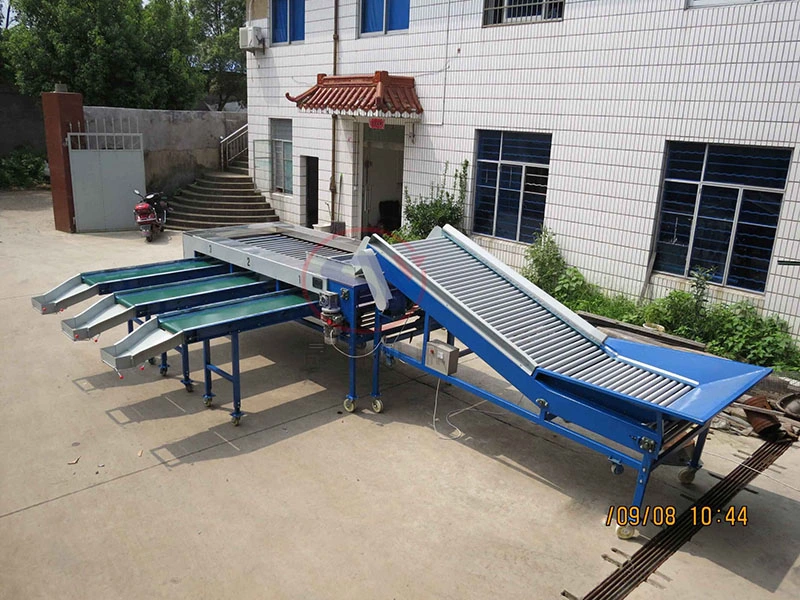 Fully Automatic Industrial Fruit Grading Sorter Line Fruit&Vegetable Processing Machine