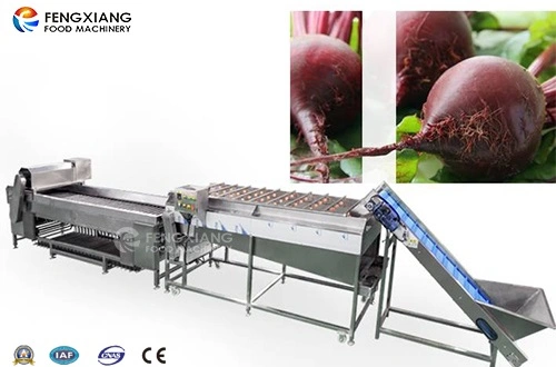 Br-2000 Red Beetroot Vegetable Fruit Cleaning Washing and Grading Sorting Machine