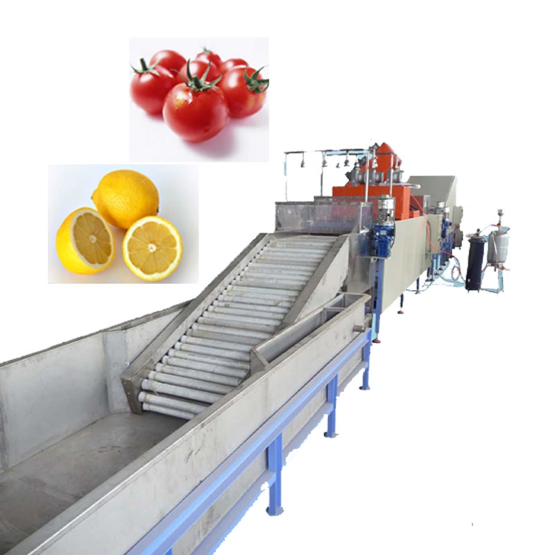 Orange Automatic Loading Electronic Fruit Sorter and Washing Waxing Machine