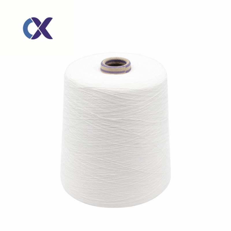 Cheap Price DTY 300d/96f Raw White for Weaving