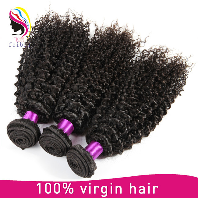 8A Wholesale Price Remy Virgin Kinky Curl 100% Human Brazilian Hair Weaving