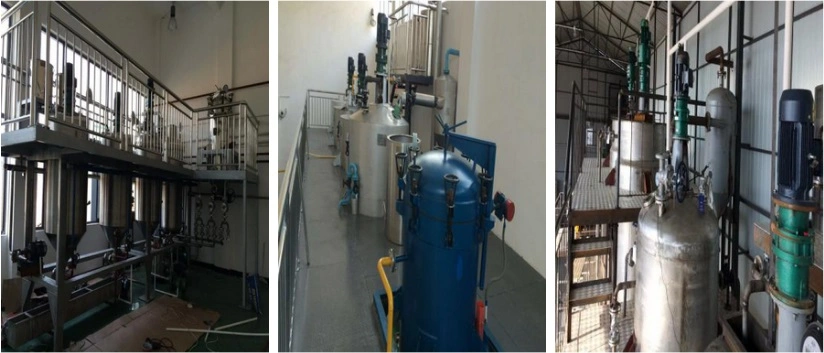 Competitive Price Soybean Oil Refining Machine Process Palm Oil Refinery Process