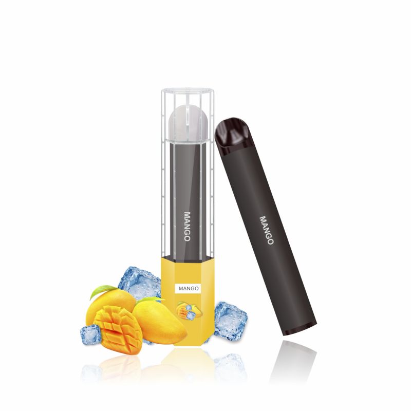 Vapor Vaporizer Wholesale Disposable Electronic Cigarette E-Cigarette Vape Pen