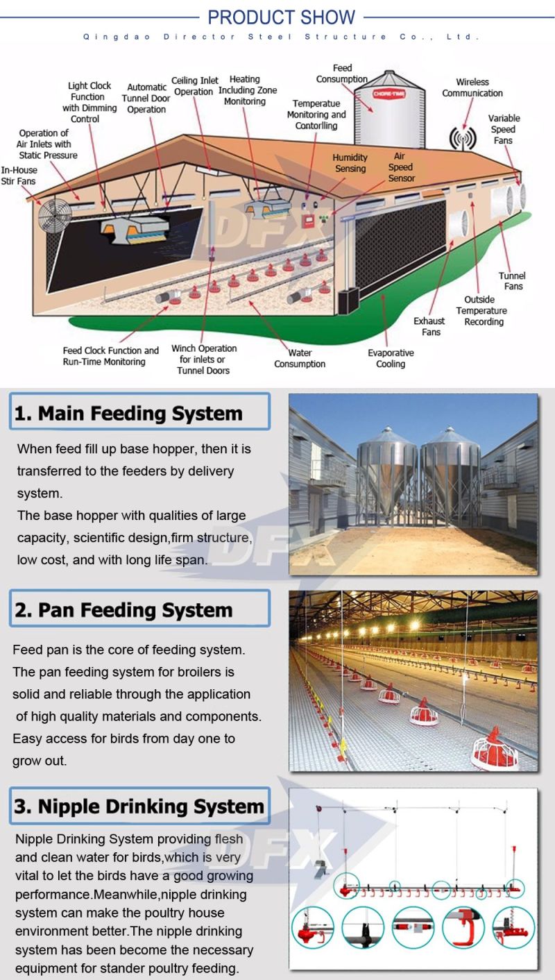 Automatic Galvanized Steel Frame Poultry Farm Design for Broiler Layer
