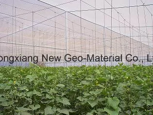 Plain Weave Agriculture Anti Insect Net for Guarden