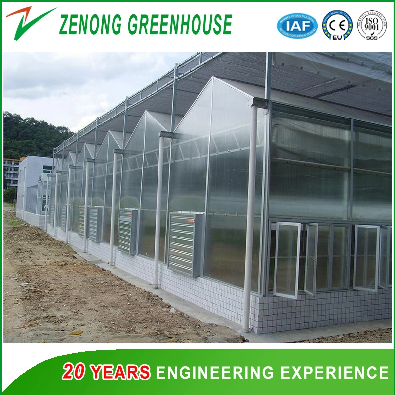 Polycarbonate Sheet Multi-Roof Greenhouse with Exhaust Fan for Carrot/Cucumber/Tomato