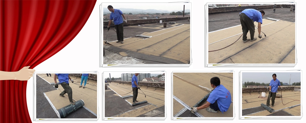 Roof Waterproofing Breathable Membrane Roof Waterproofing Sheet