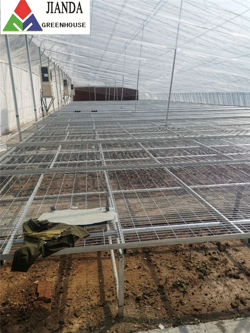Polycarbonate Sheet Roofing for Flowers and Grass Greenhouse Full System