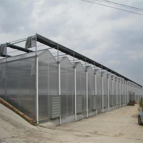   Agriculture Triangle Roof Polycarbonate PC Sheet Greenhouse