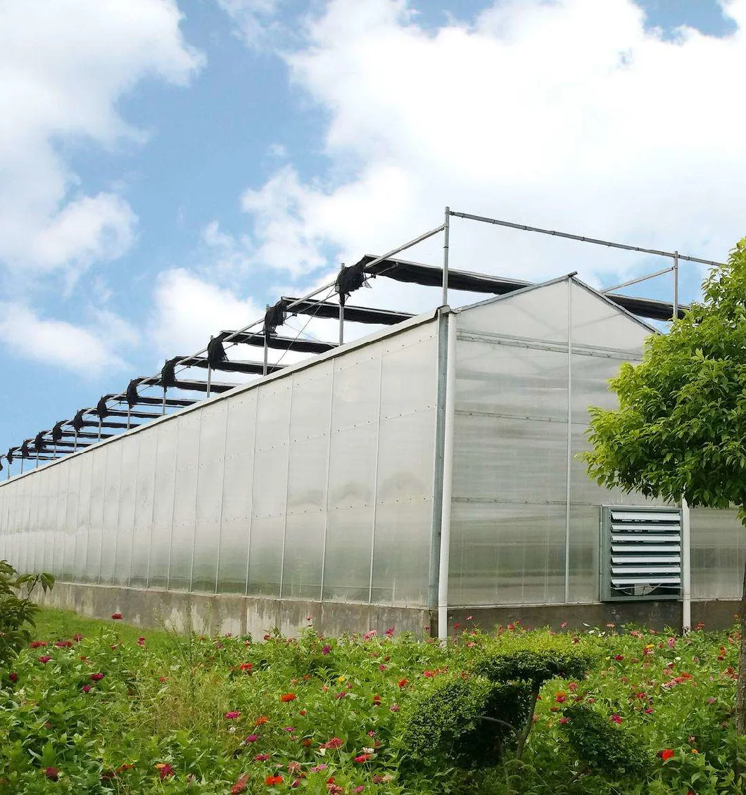   Agriculture Triangle Roof Polycarbonate PC Sheet Greenhouse