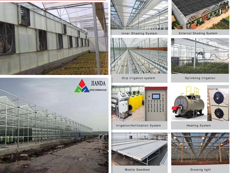 for Agriculture Greenhouse Polycarbonate PC Hollow Sheet Roofing Sheet Production Line Machine