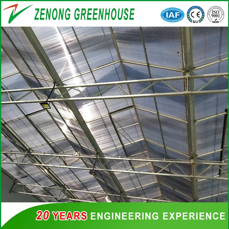 Venlo Type Polycarbonate Sheet Multi-Roof Greenhouse with Shading Screen for Rose/Tulip/Camellia