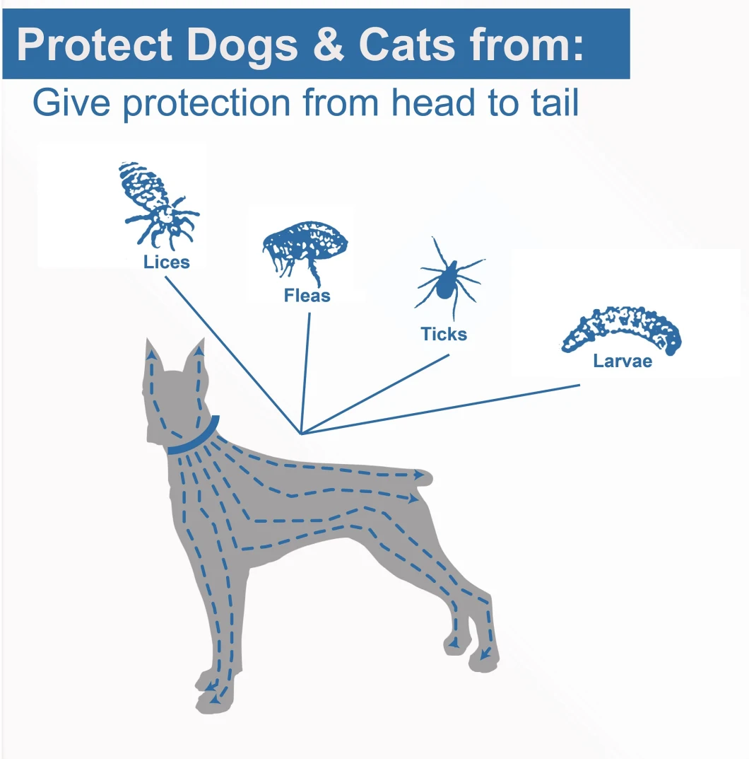 Pet Product Large Dogs Tick Prevention Flea Collar