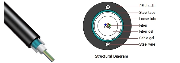 Steel Tape Armored Anti Rodent Single-Mode Outdoor GYXTW 4b1 12 Core Fiber Optic Network Cable