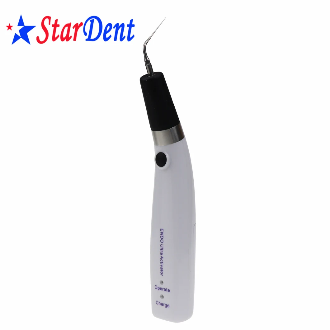 High Performance Root Canal Instrument Dental Tips Sonic Irrigator Dentistry Endo File Sonic Activator