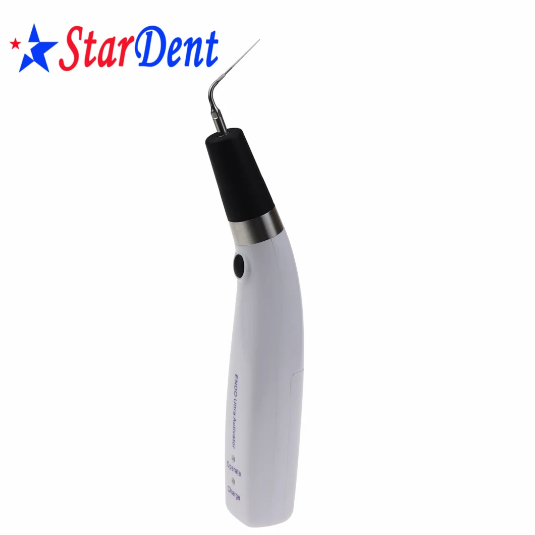 High Performance Root Canal Instrument Dental Tips Sonic Irrigator Dentistry Endo File Sonic Activator